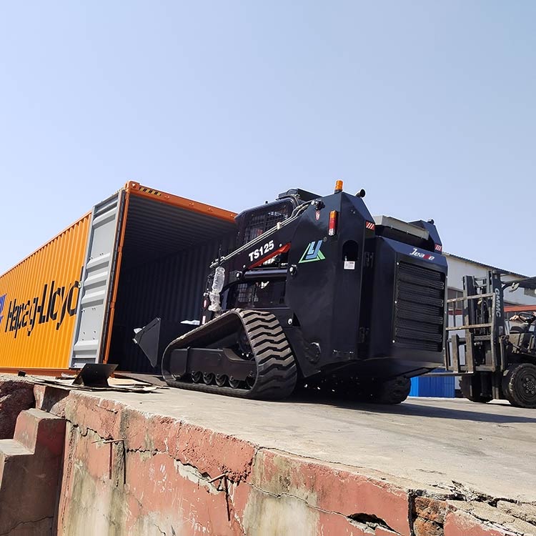 5 Ton(11023.10lb) Diesel Skid Steer Load With Black Colour-TS125 - Image 6