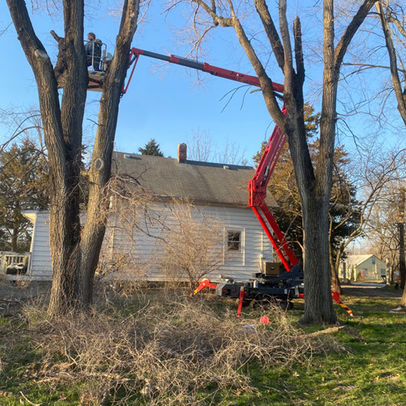 0.2 Ton Articulated Spider Lift - X21 - Image 3