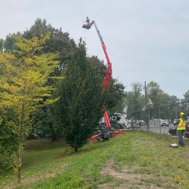 0.2 Ton Articulated Spider Lift - X21 - Image 2